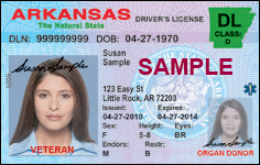 Free Drivers License Check Indiana